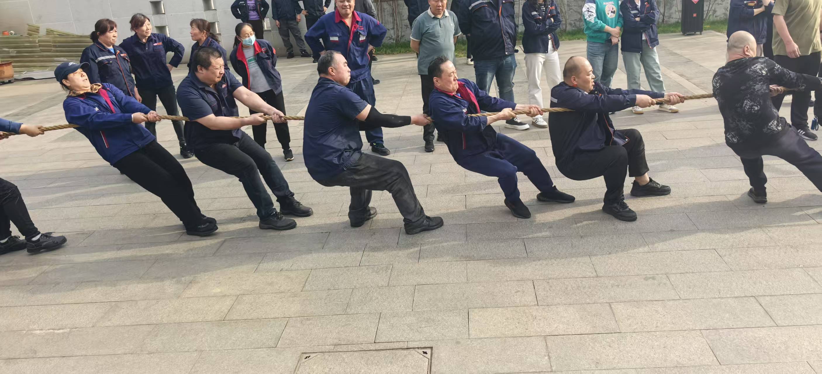 香港免费资料大全宝典